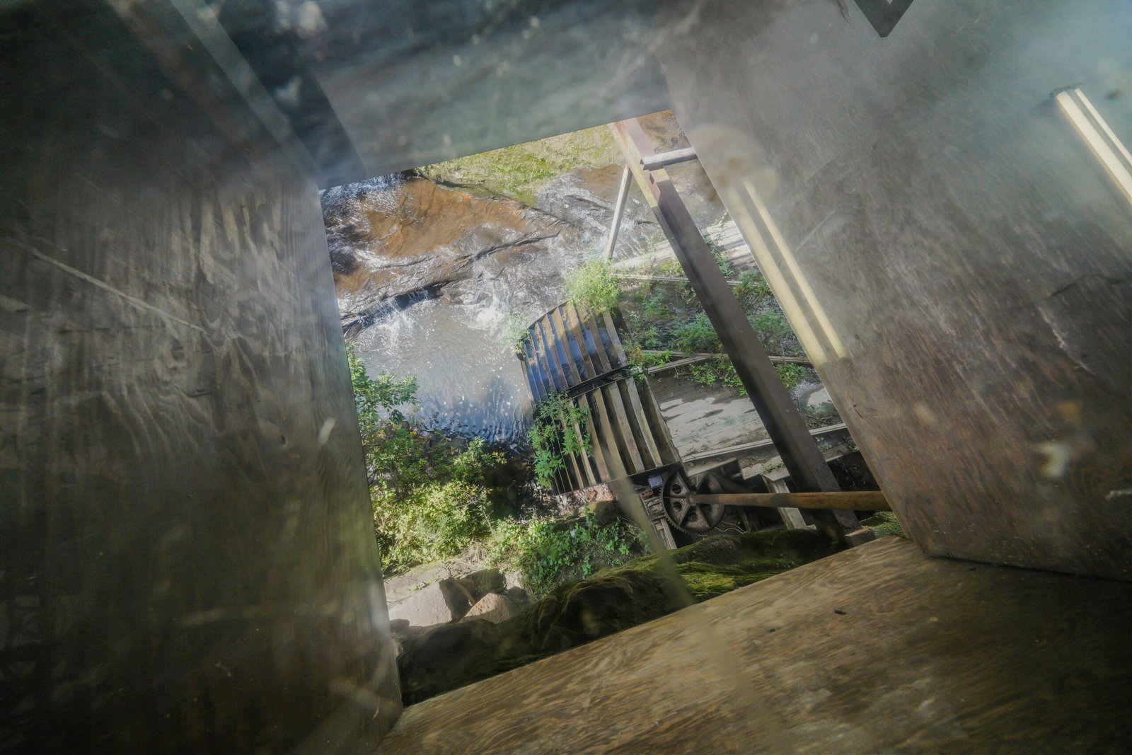 Look through the glass